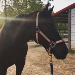 Meet your Posher, Whitney